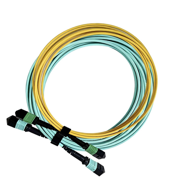 OTN router and optical transport system for carrier networks