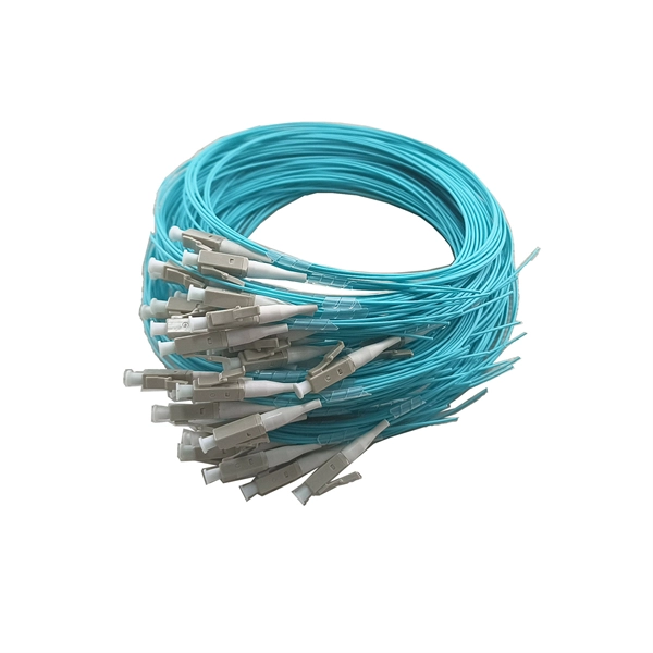 How to connect the fiber optic cable to the disk array 