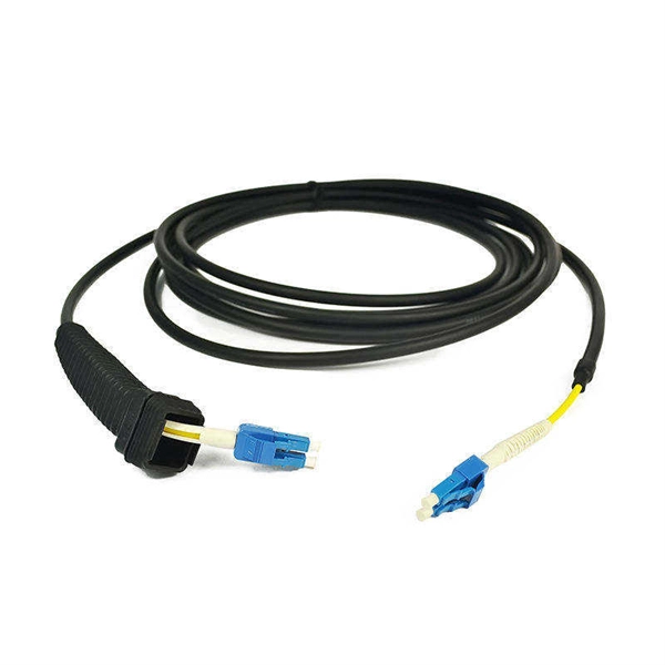 Bahrain Export Liquid-Cooled Switch 1G PDF preview