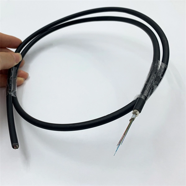 Cold Storage Temperature Control Intelligent Power Distribution Box