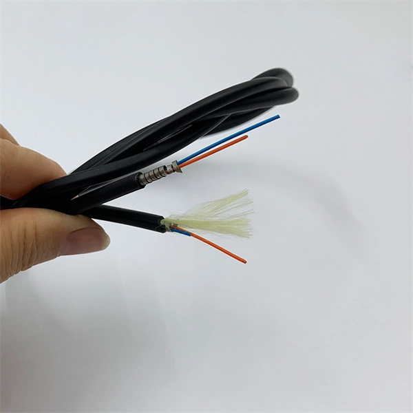 Unmarked Cabinet Cable Management Rack PDF preview