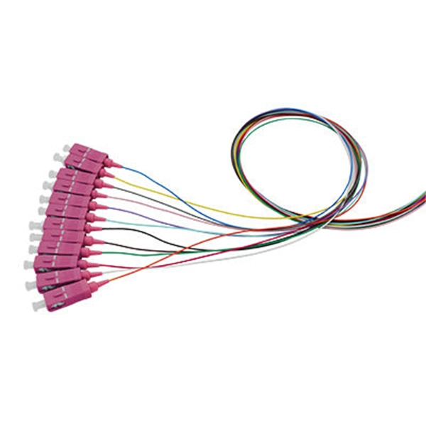 What type of network cable is used in a fiber optic router  PDF preview