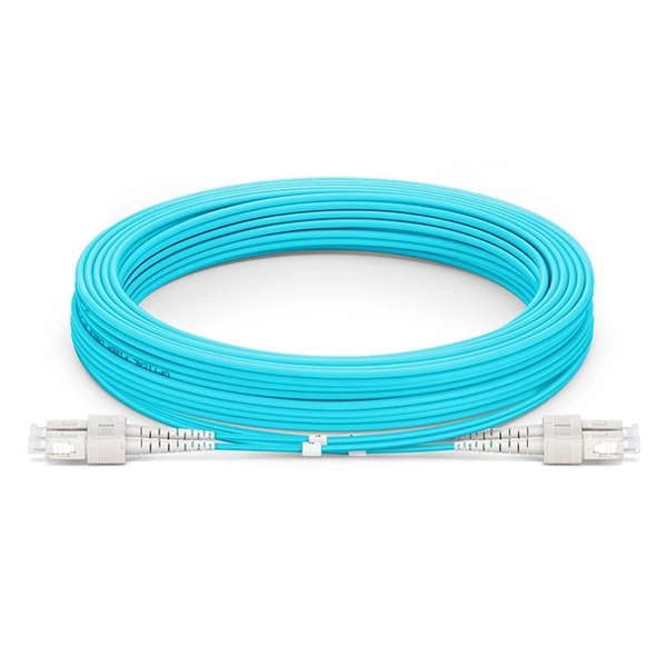 Relay protection pressure plate spring type