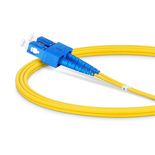 Principles of Gas Chromatography Analyzer