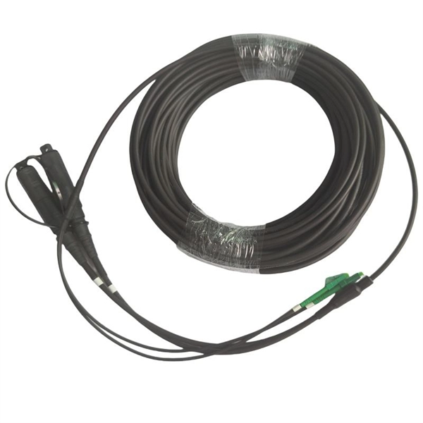 Netherlands Optical Core Router 800G