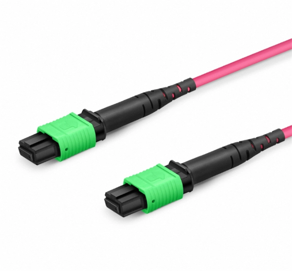 Bahamas Fiber Ethernet Switch 10G PDF preview